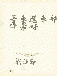 看车选车哪个软件最好