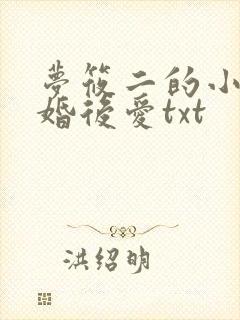 梦筱二的小说先婚后爱txt