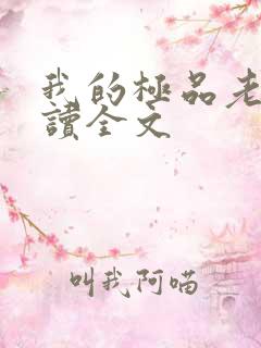 我的极品老婆阅读全文