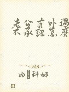 老公有外遇问他不承认怎么办