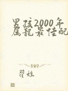 男孩2000年属龙最佳配偶属相
