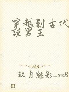 穿越到古代的小说男主