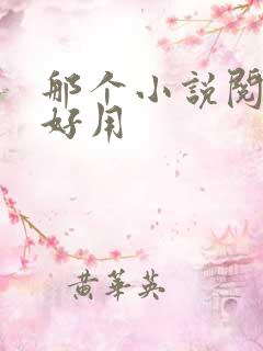 那个小说阅读器好用