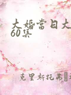 大婚当日大结局60集