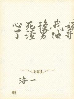 心死后,我嫁给了渣男他哥