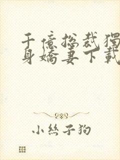 千亿总裁独宠替身娇妻下载