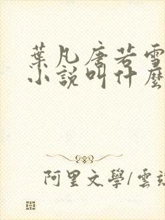 叶凡唐若雪那个小说叫什么呢