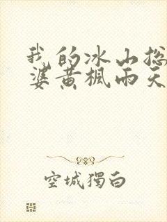 我的冰山总裁老婆黄枫雨天