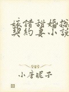 嫁错甜婚总裁的契约妻小说