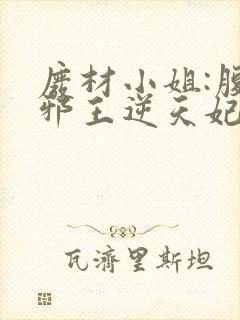 废材小姐:腹黑邪王逆天妃 叶轻轻