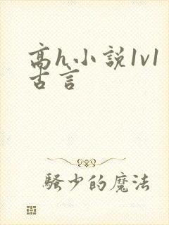 高h小说1v1古言