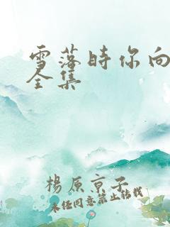 雪落时你向南飞全集