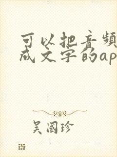 可以把音频转化成文字的app