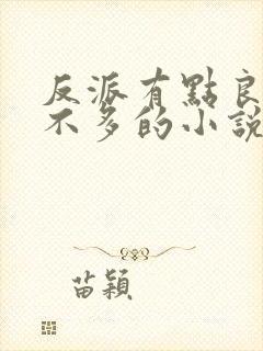 反派有点良心但不多的小说