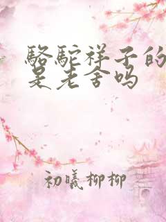 骆驼祥子的作者是老舍吗