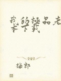 我的极品老婆全本下载