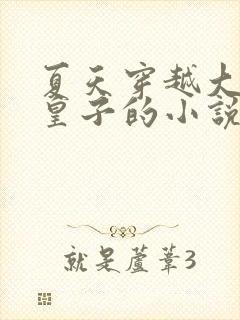 夏天穿越大夏九皇子的小说笔趣阁