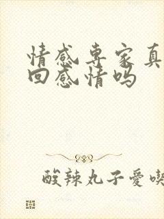 情感专家真能挽回感情吗