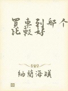 买车到哪个网站比较好