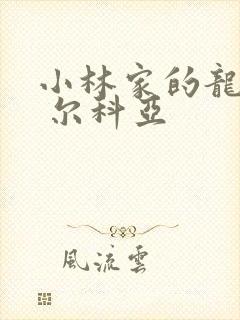 小林家的龙女仆 尔科亚