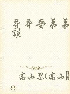 哥哥受弟弟攻小说