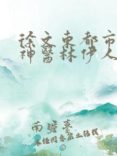 徐文东都市无敌神医林伊人