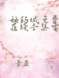 她的城免费观看在线全集电视剧