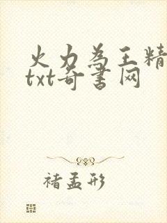 火力为王精校版txt奇书网
