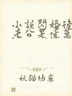 小说闪婚后发现老公是亿万富豪全文阅读