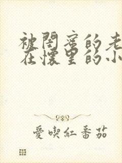 被闺蜜的老公抱在怀里的小说大结局