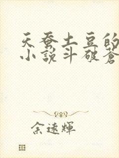 天蚕土豆的全部小说斗破苍穹