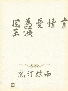 因为爱情有多美主演