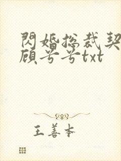 闪婚总裁契约妻顾兮兮txt
