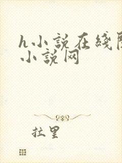 h小说在线阅读小说网