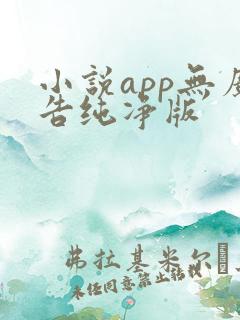 小说app无广告纯净版