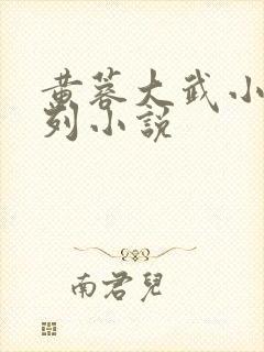 黄蓉大武小武系列小说