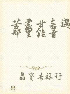 苦尽甘来遇见你哪里能看