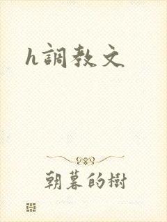 h调教文