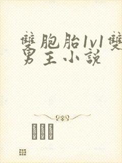 双胞胎1v1双男主小说