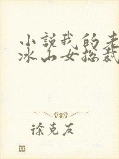 小说我的老婆是冰山女总裁