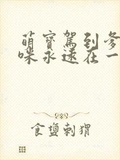 萌宝驾到爹地妈咪永远在一起短剧