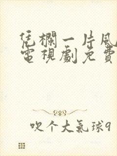 凭栏一片风云起电视剧免费观看