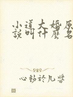 小道大婚原著小说叫什么名字