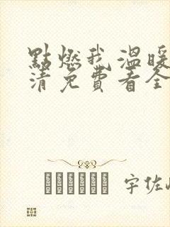 点燃我温暖你高清免费看全集