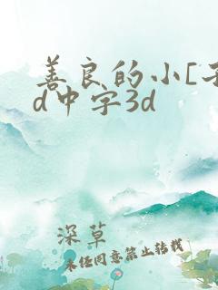 善良的小[子hd中字3d