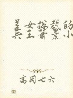 美女总裁的贴身兵王萧晨小说