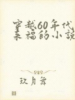 穿越60年代李来福的小说免费阅读