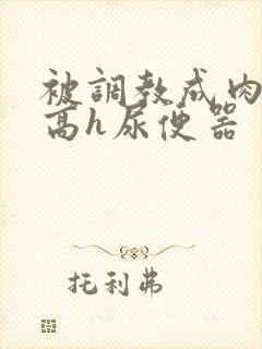 被调教成肉便池高h尿便器