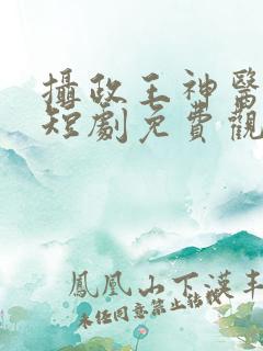 摄政王神医毒妃短剧免费观看