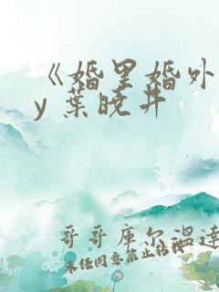 《婚里婚外》by 叶晓井